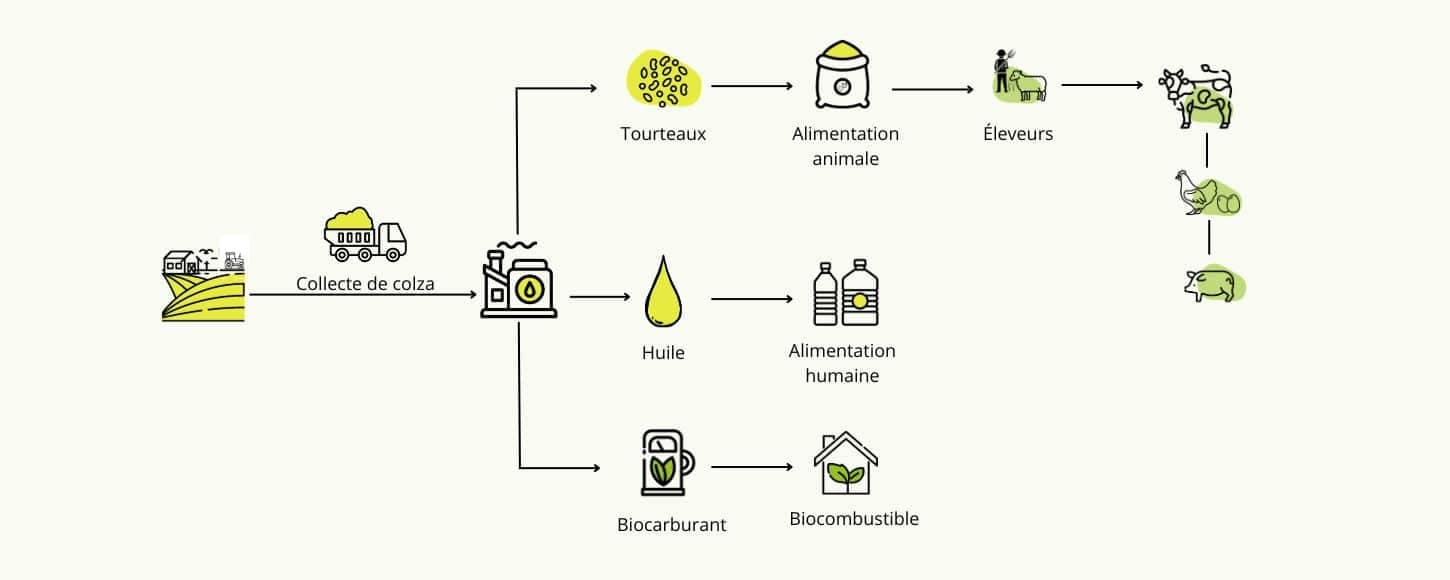 Schéma de transformation Biofioul