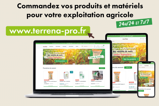 Marketplace Terrena Pro